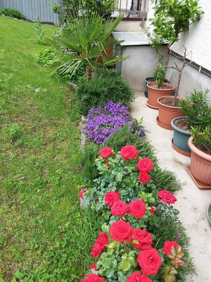 B & B Sentiero Valtellina Castello dell'Acqua Eksteriør billede