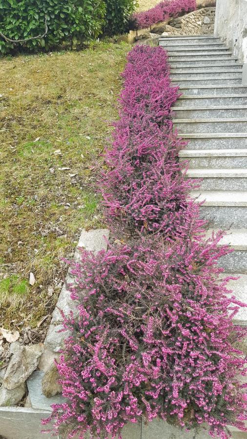 B & B Sentiero Valtellina Castello dell'Acqua Eksteriør billede
