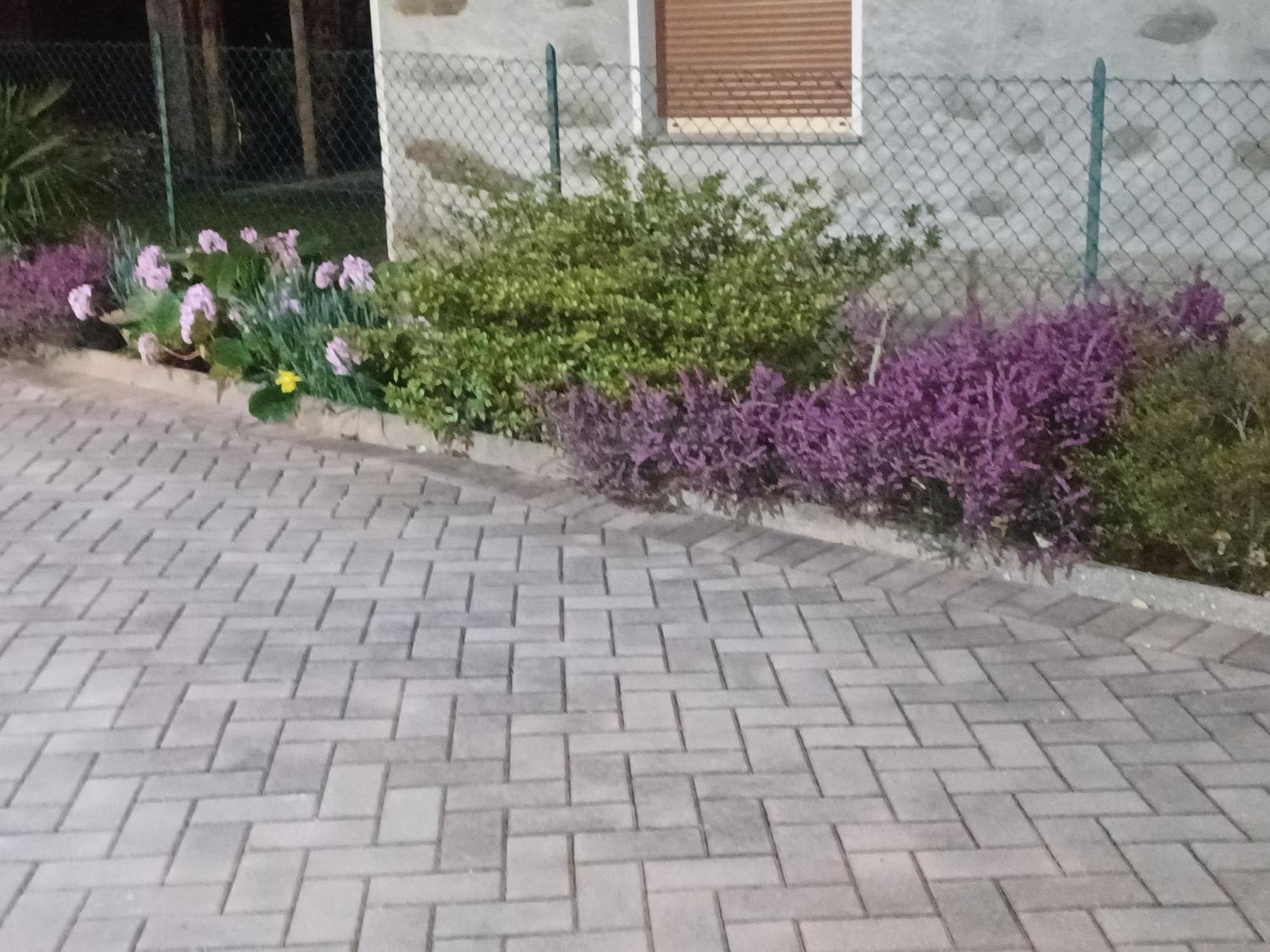 B & B Sentiero Valtellina Castello dell'Acqua Eksteriør billede